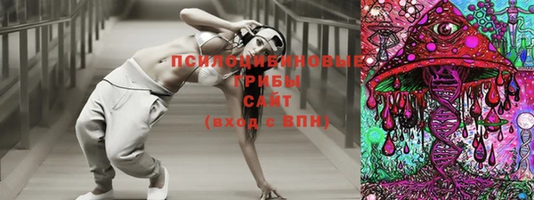 МДПВ Алзамай