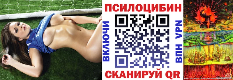 Псилоцибиновые грибы MAGIC MUSHROOMS закладка Дзержинский